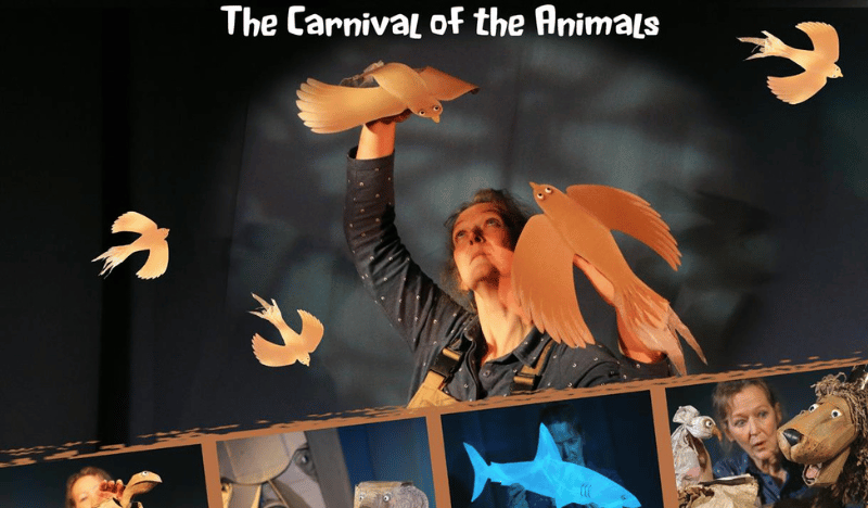 Cardboard Carnival - - The Carnival of the Animals